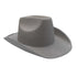 Team Spirit Silver Cowboy Hat