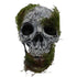 Fright Night Moss Skull 35cm x 55cm Each