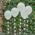 Bridal Bloom Balloon Bundle 30cm