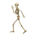 Profile Pete Cardstock Skeleton 95cm Each