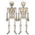 Vintage Halloween Cardstock Skeleton 129cm Each