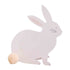 Hey Bunny Place Card 6pk