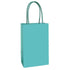 Robin's Egg Blue Paper Kraft Bag 21cm x 13cm x 8cm 8pk