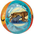 Lion King Orbz Balloon 38cm x 40cm Each