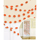 Amscan_OO Decorations - Banners, Flags & Streamers Orange Kiwi Glitter Round String Decorations 2m 6pk