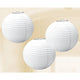 Amscan_OO Decorations - Decorative Fans, Pom Poms & Lanterns Frosty White Kiwi Round Paper Lanterns 3pk 24cm