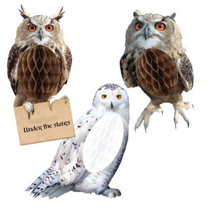 Decorations - Decorative Fans, Pom Poms & Lanterns Harry Potter Halloween Hanging Honeycomb Owl Decorations 22cm 3 pieces