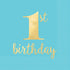 1st Birthday Blue Hot Stamped Lunch Napkins 33cm 16pk
