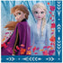 Frozen 2 Elsa and Anna Lunch Napkins 33cm x 33cm 16pk