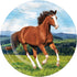 Horse and Pony Dinner Plates Paper 22cm 8pk