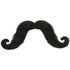 Black Moustache Each